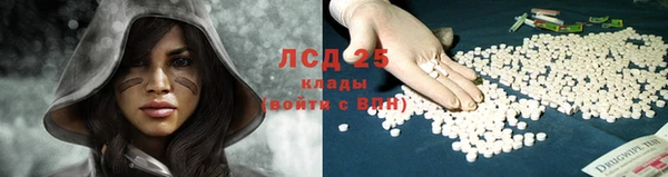 стафф Лабытнанги