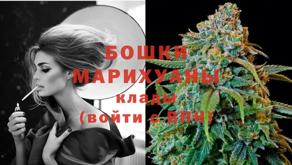 ешки Ладушкин
