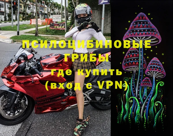 стафф Лабытнанги