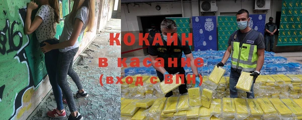 крисы Лагань