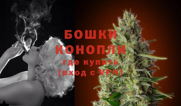 PSILOCYBIN Всеволожск