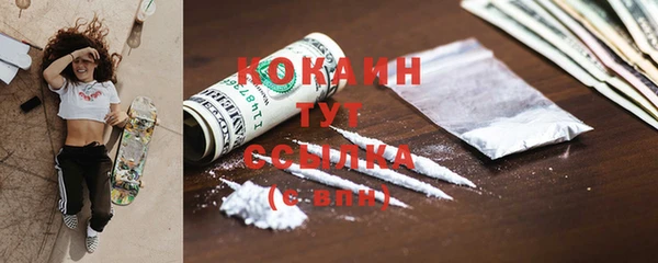 крисы Лагань