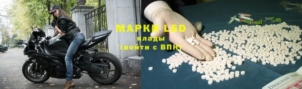 стафф Лабытнанги