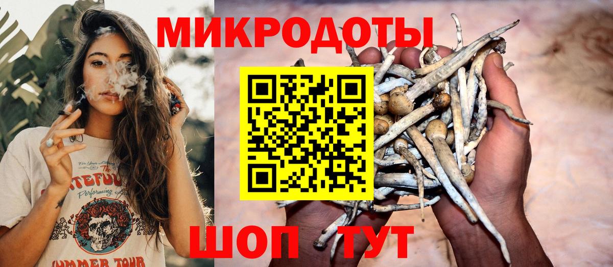 хочу наркоту  Вход с VPN  Курчалой  Галлюциногенные грибы ЛСД 